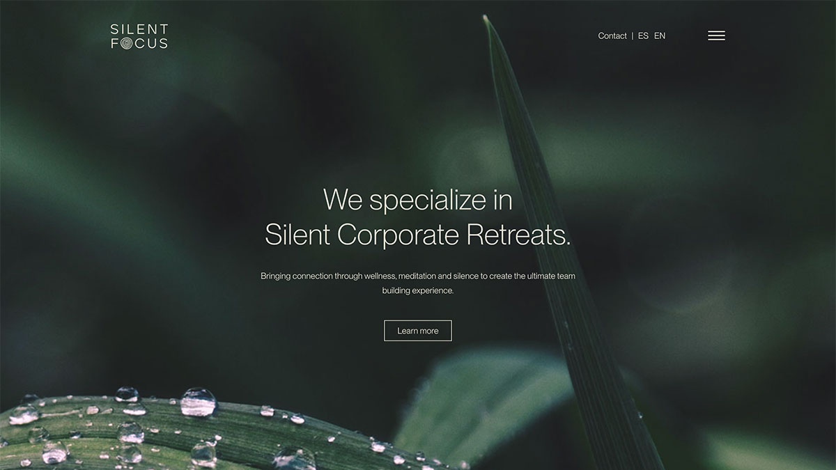 About | Silent Focus