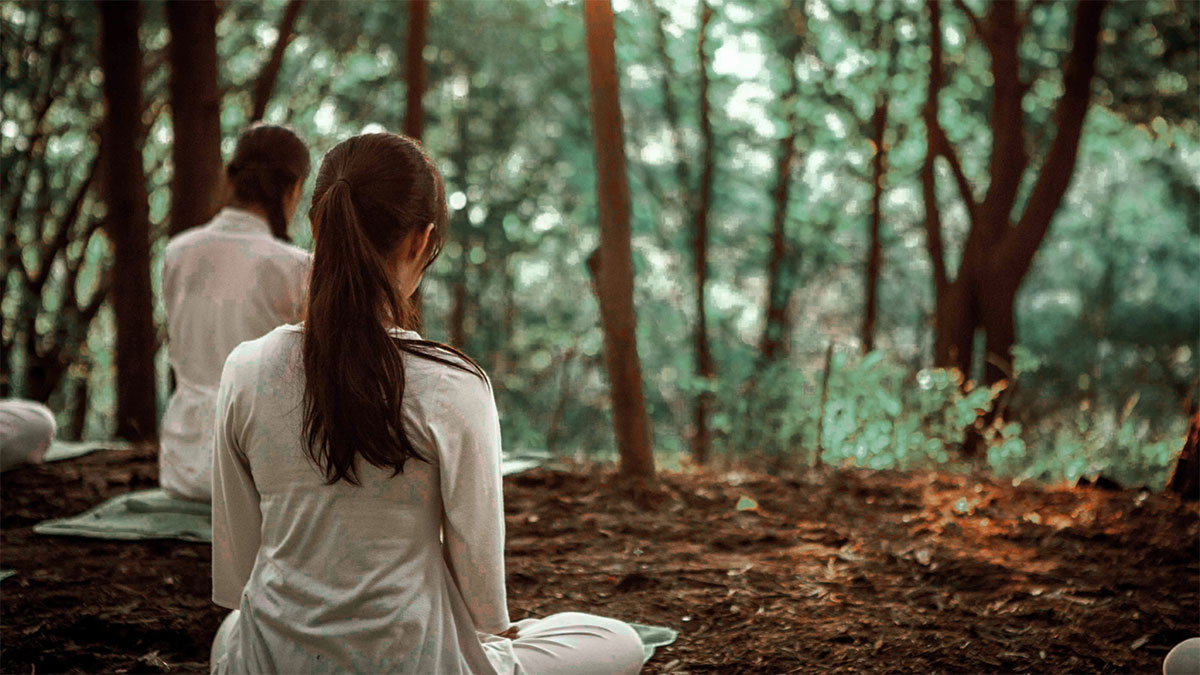 Conscious Disconnection