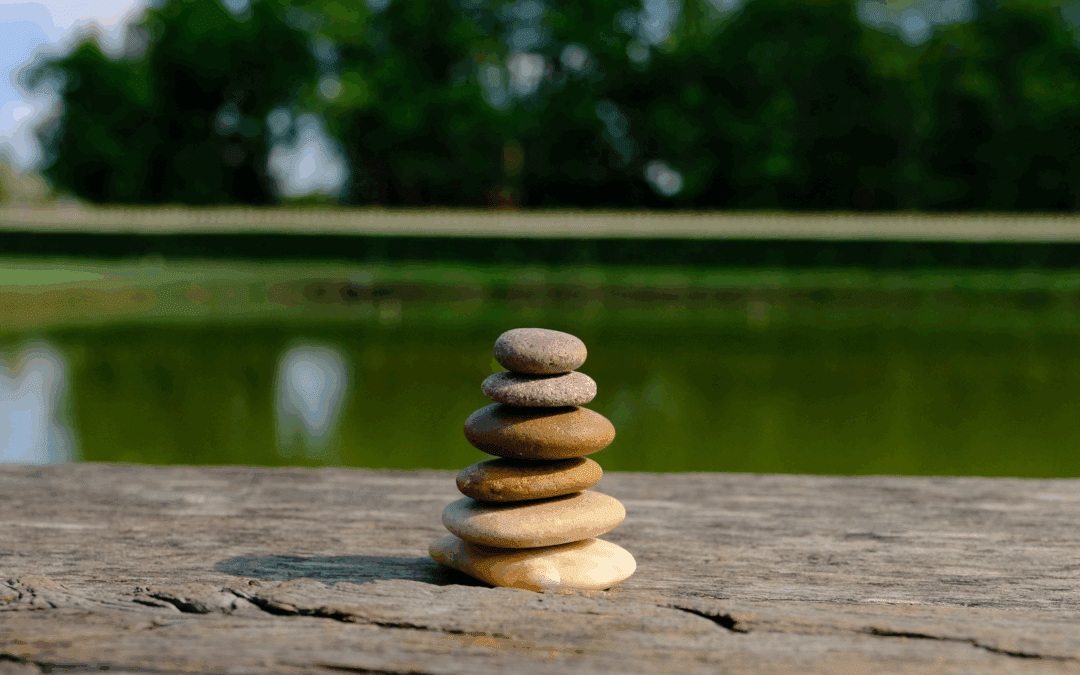 The Importance of Silence in a Noisy World