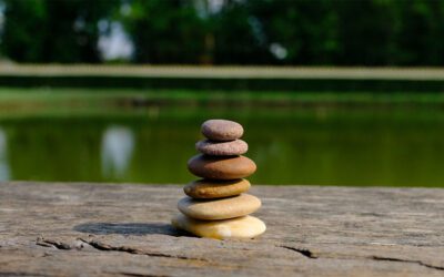 The Importance of Silence in a Noisy World