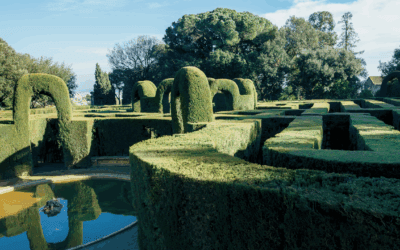 Parques en silencio en Barcelona: redescubriendo calma urbana