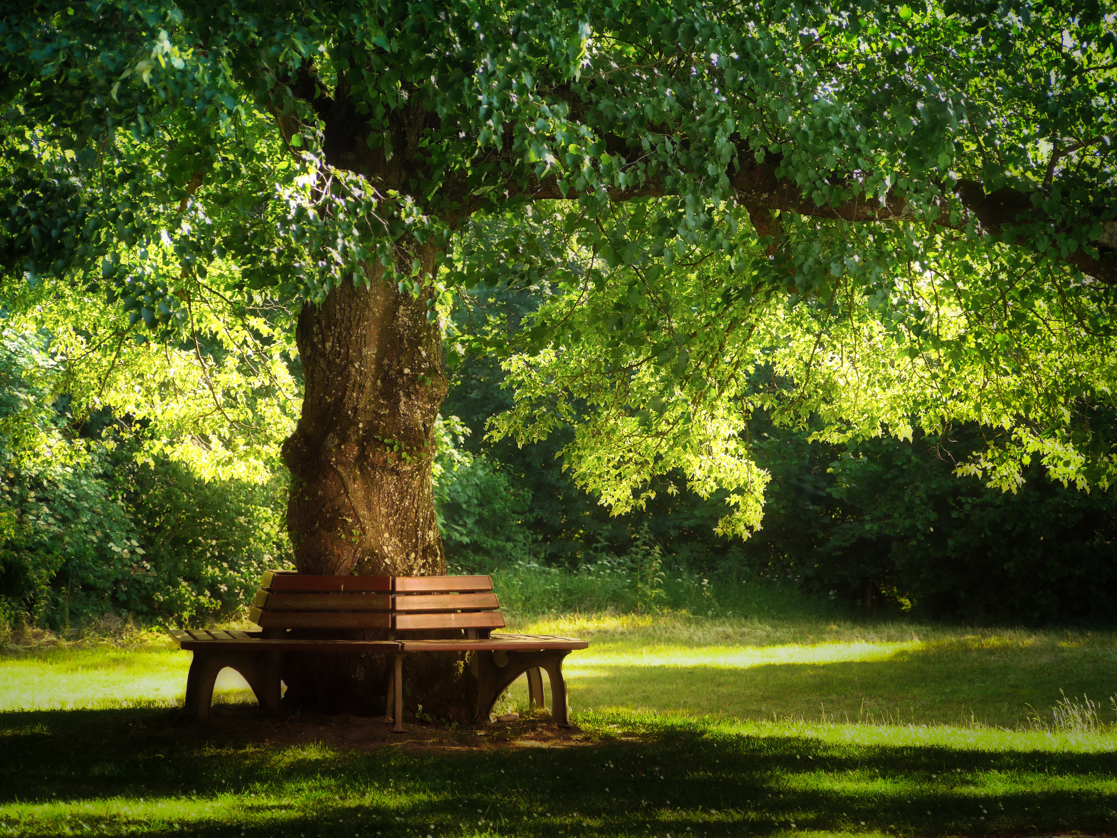 Silent Parks