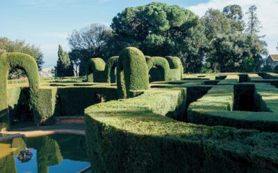 Silent Parks in Barcelona: Rediscovering Urban Calm