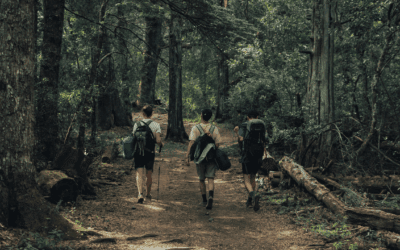 Mindful Walking: A Practice You’ll Discover in a Retreat