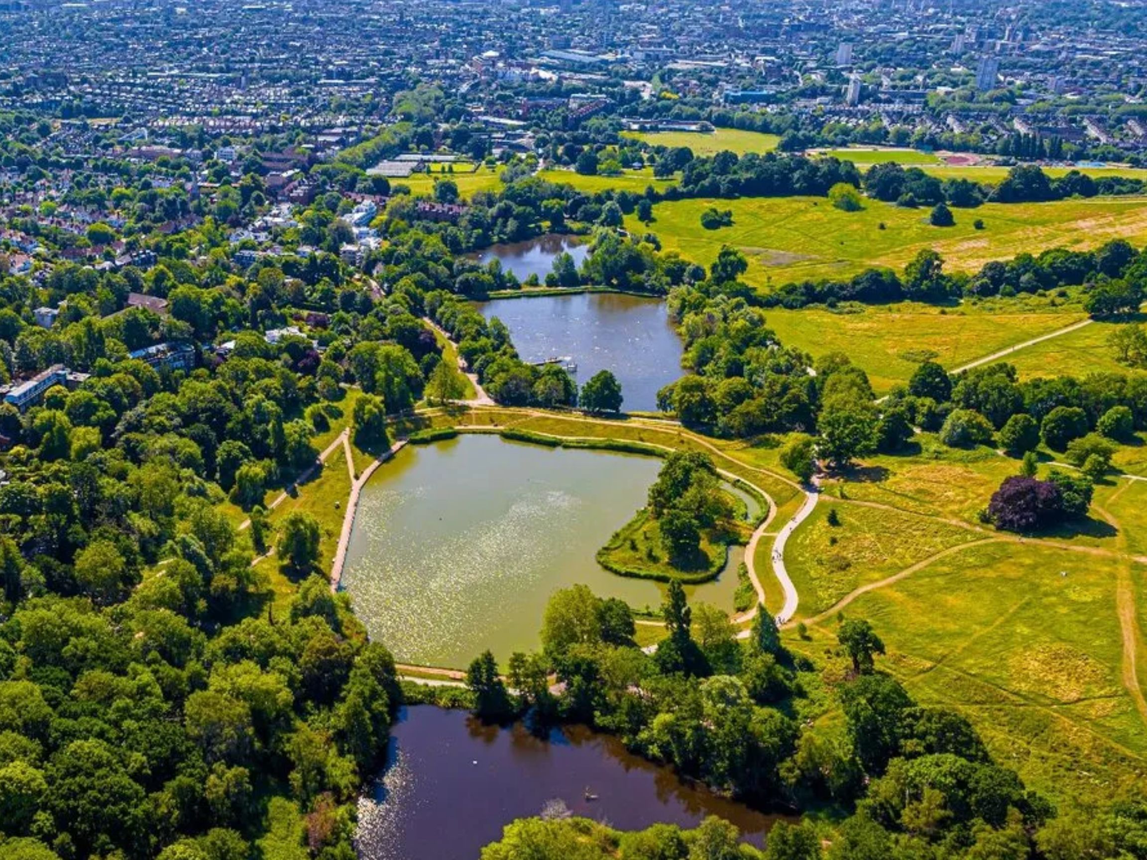Hampstead Heath