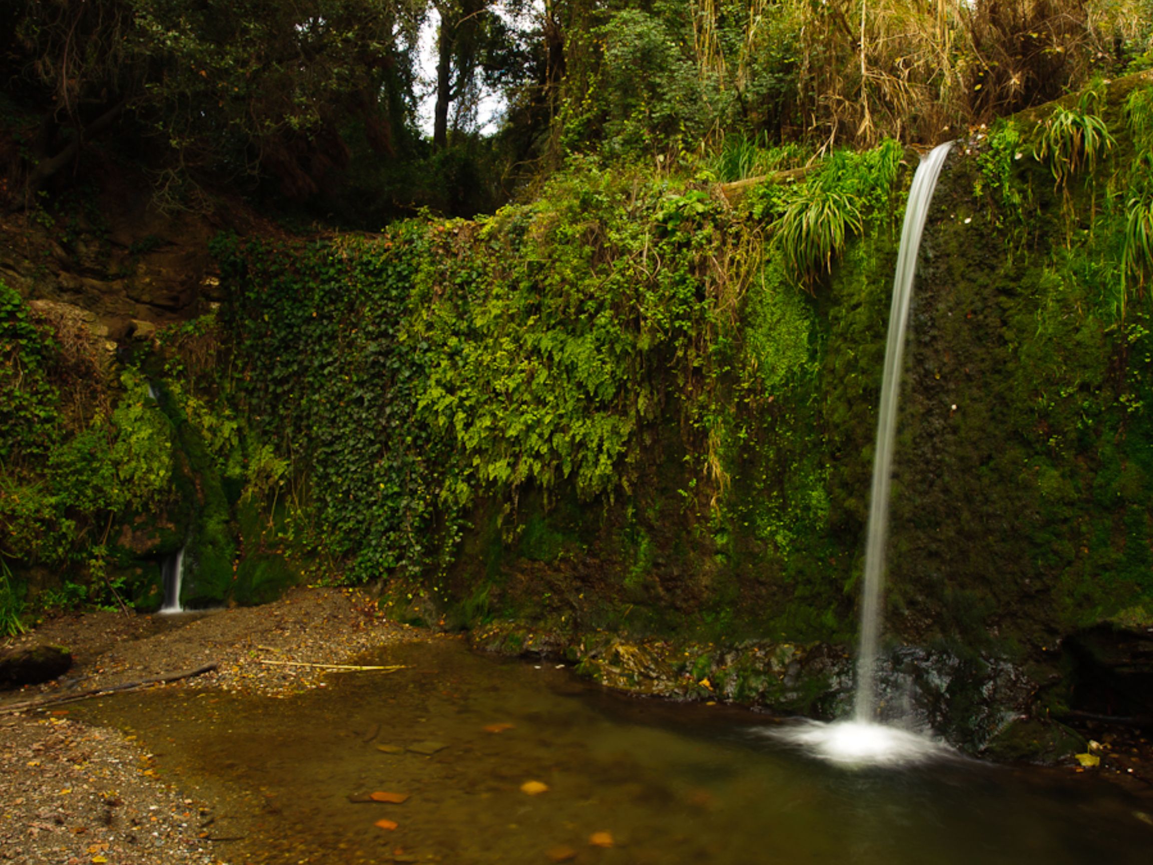 Collserola Natural Park
