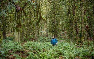 What Is Forest Bathing? The Science of Shinrin-Yoku