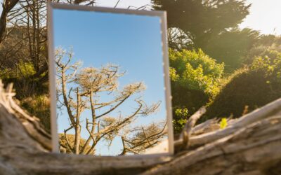 The Role of Creativity in Personal Reflection