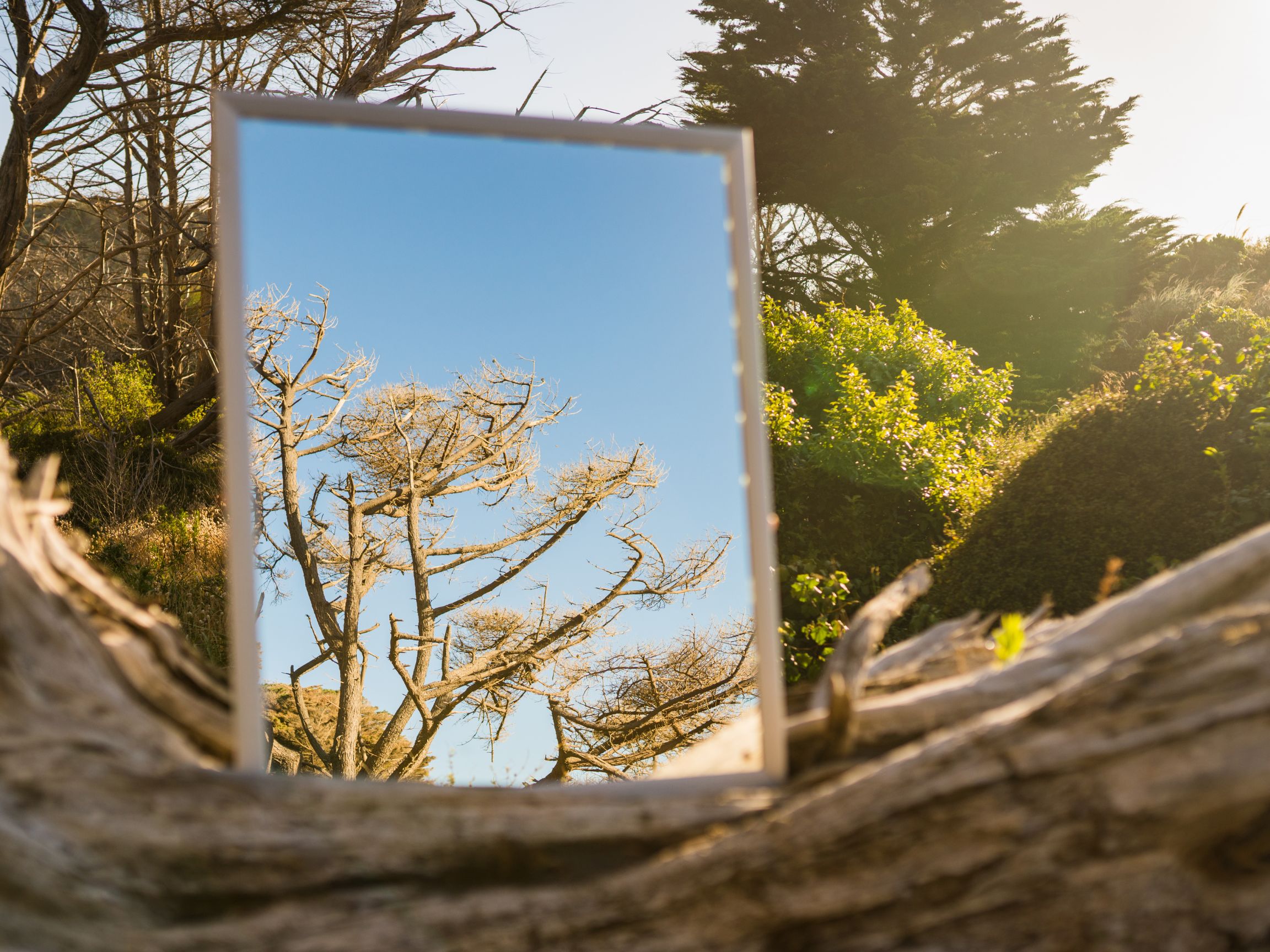 Reflection reflection