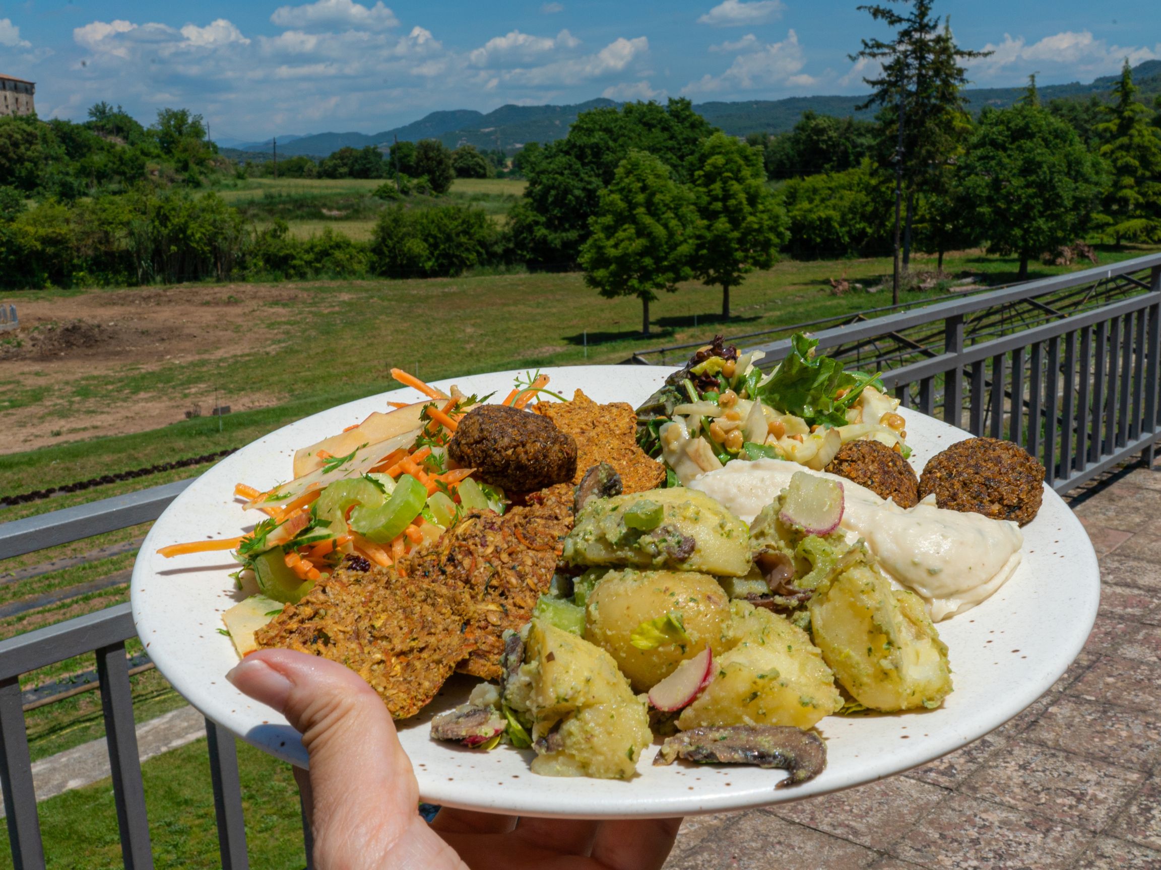 Bolitas de quinoa