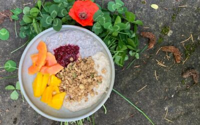 Recetas de Verano para Nutrir Cuerpo y Mente
