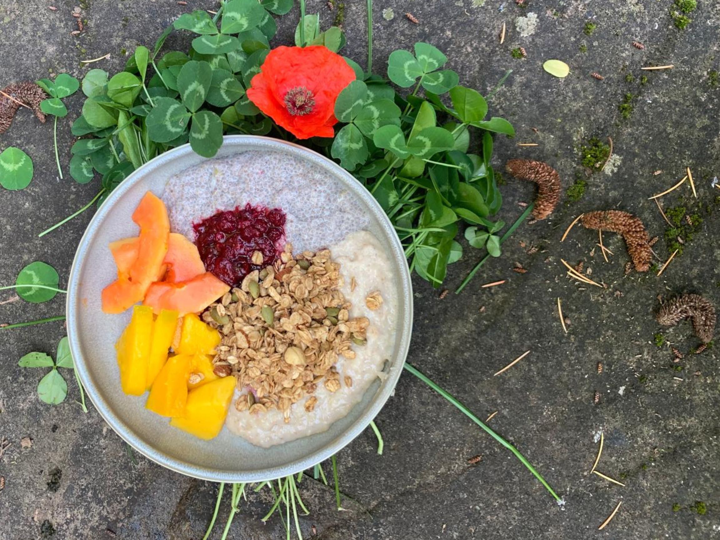breakfast bowl breakfast bowl